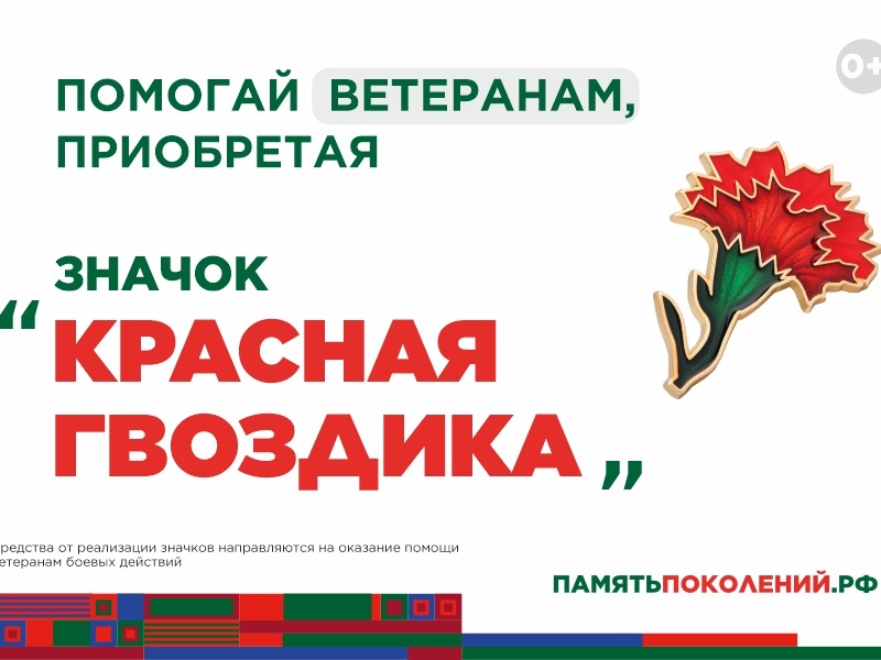 Ежегодная всероссийская акция помощи ветеранам «Красная гвоздика».